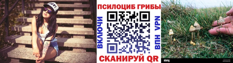 Галлюциногенные грибы MAGIC MUSHROOMS  mega ссылка  Устюжна 